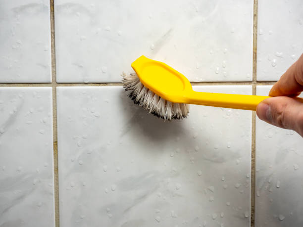 Certified Mold Removal in Biggs, CA