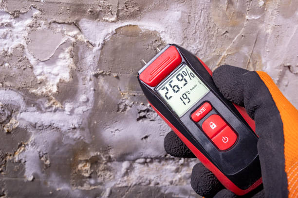 Best Fast Mold Removal  in Biggs, CA