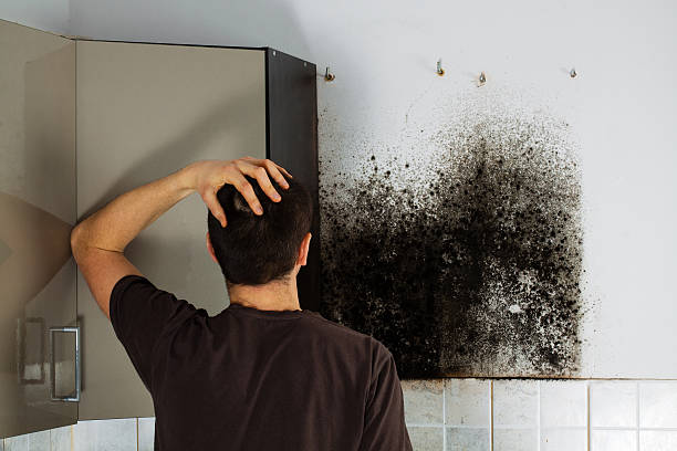 Best Certified Mold Removal  in Biggs, CA